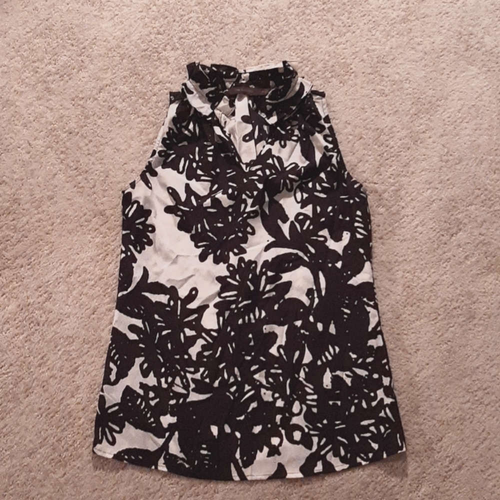 The Limited Blouse